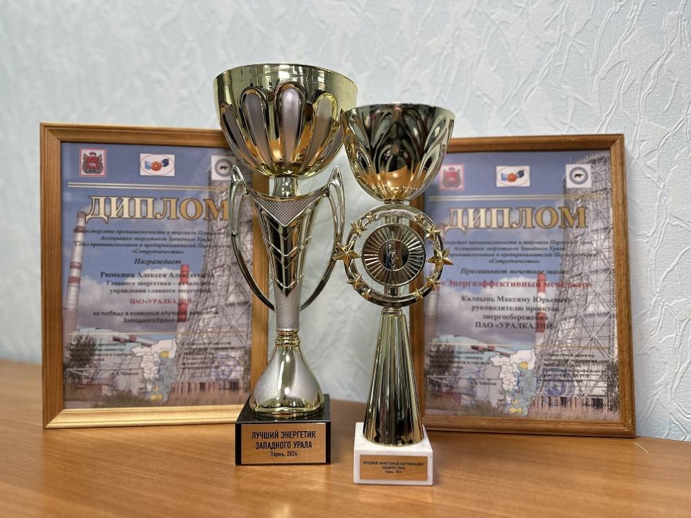 Названо лучшее энергоэффективное предприятие Западного Урала