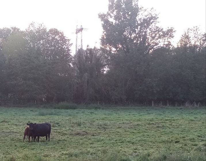 Синоптики: в Пермском крае в сентябре будет сухо, но прохладно