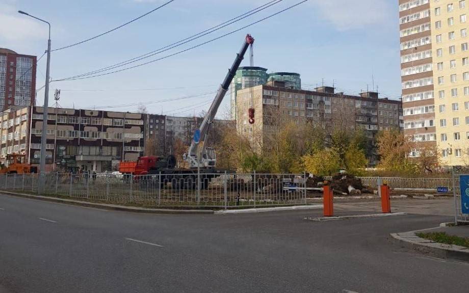 В Перми вырубили деревья в Сквере трех поколений
