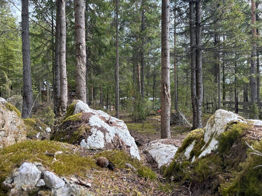 В Крымских горах завершились поиски пропавшего студента