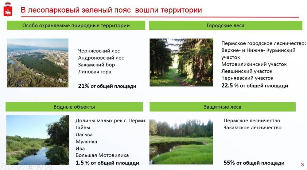 «Сохранить и поддержать»: в Перми установят границы лесопаркового «зеленого пояса»