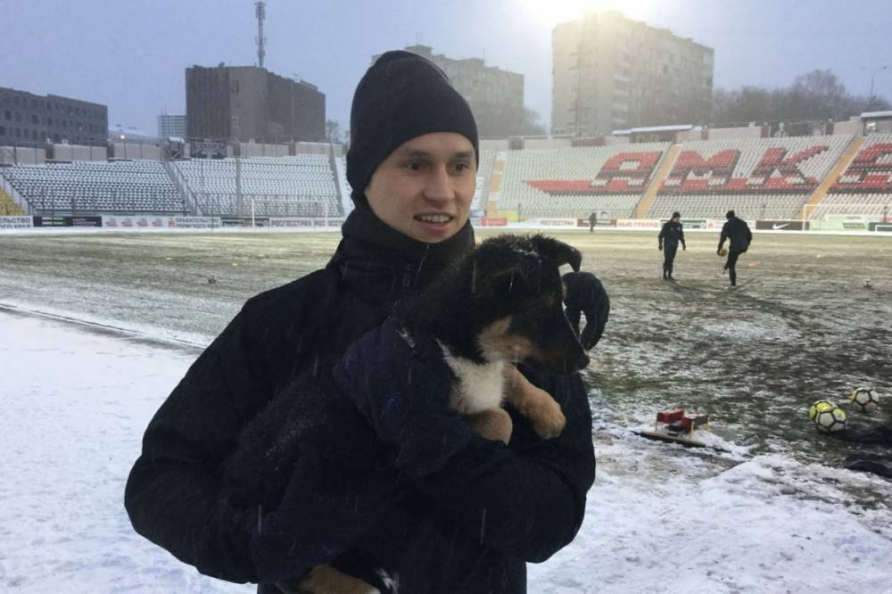 Игроки «Амкара» помогли бездомным собакам в поисках хозяев