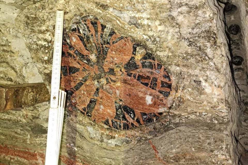 Уникальную находку из шахты «Уралкалия» исследуют специалисты Горного института УрО РАН