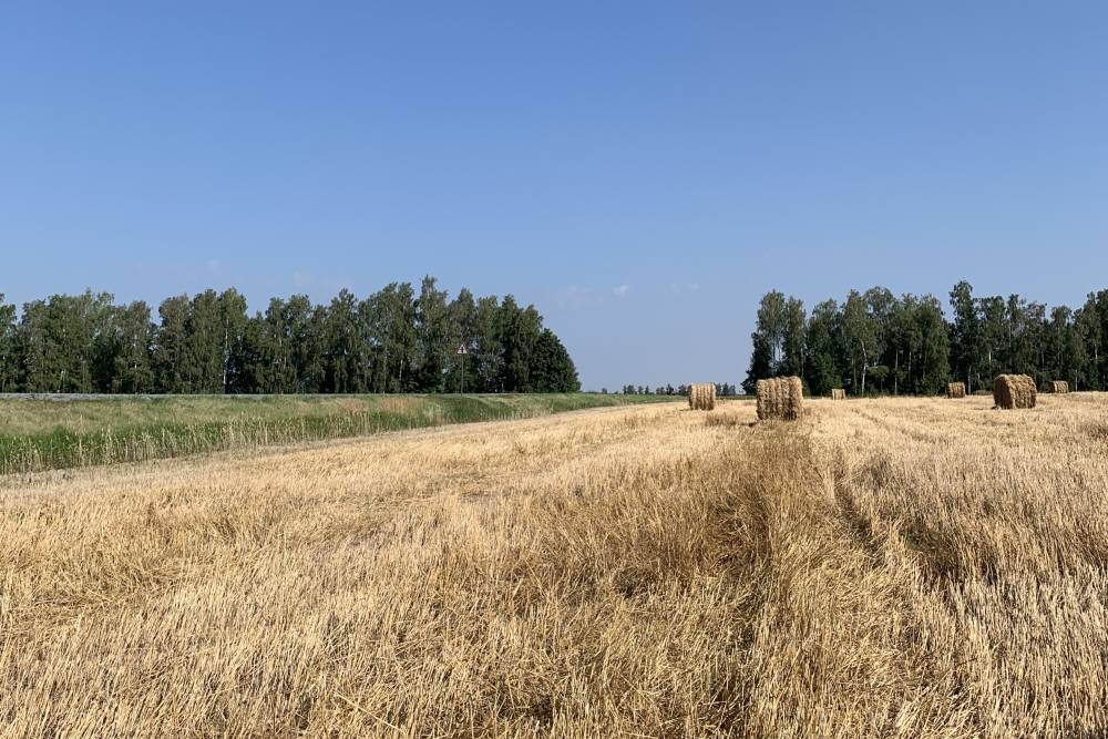 ​В Пермском крае выявили более 500 гектаров земель, используемых с нарушениями 