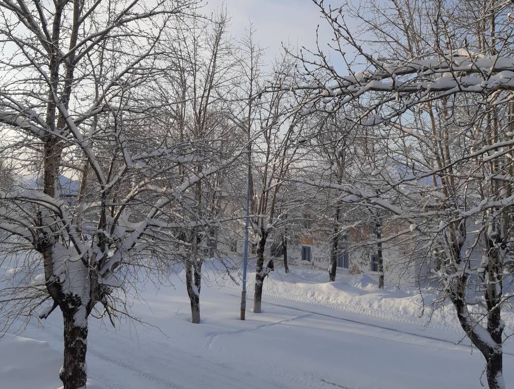 В Пермский край ненадолго придут морозы до -31°