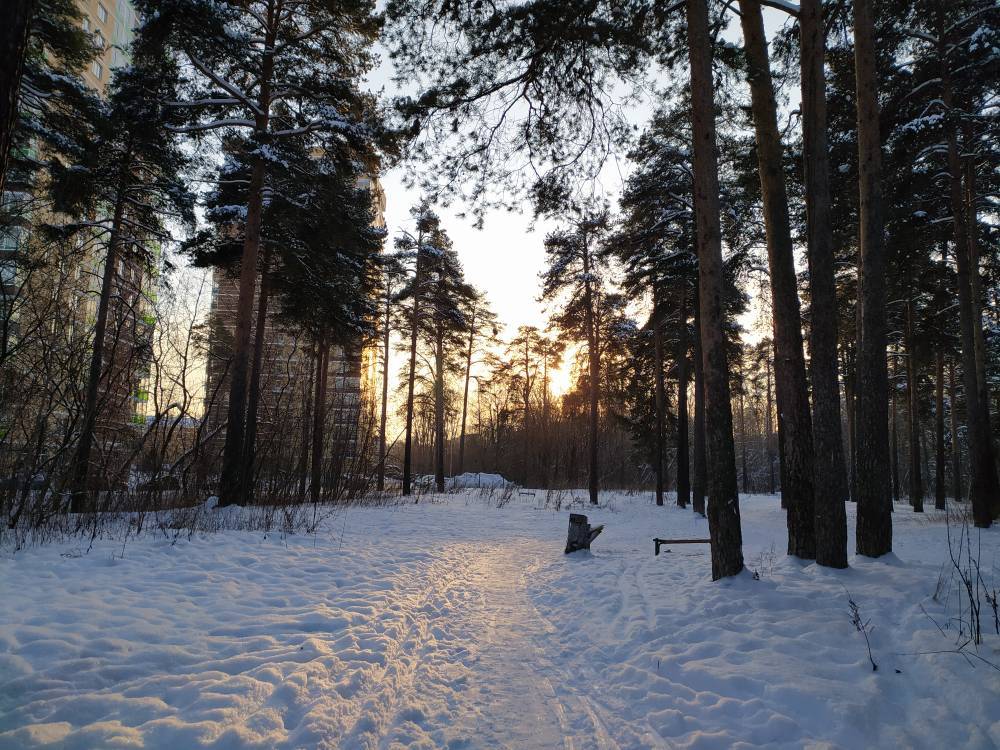 ​В Пермском крае потеплеет до 0 градусов