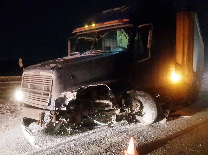 ​В Прикамье в ДТП с грузовиком погибла водитель иномарки 