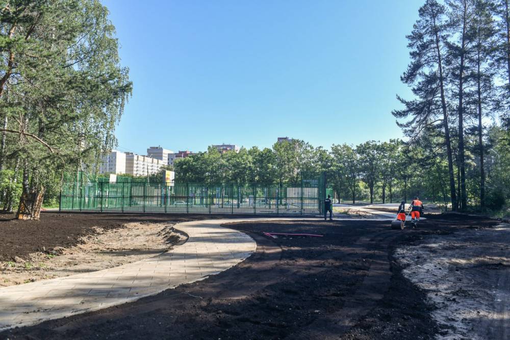 Глава Перми проверил благоустройство Черняевского леса и парка «Балатово»