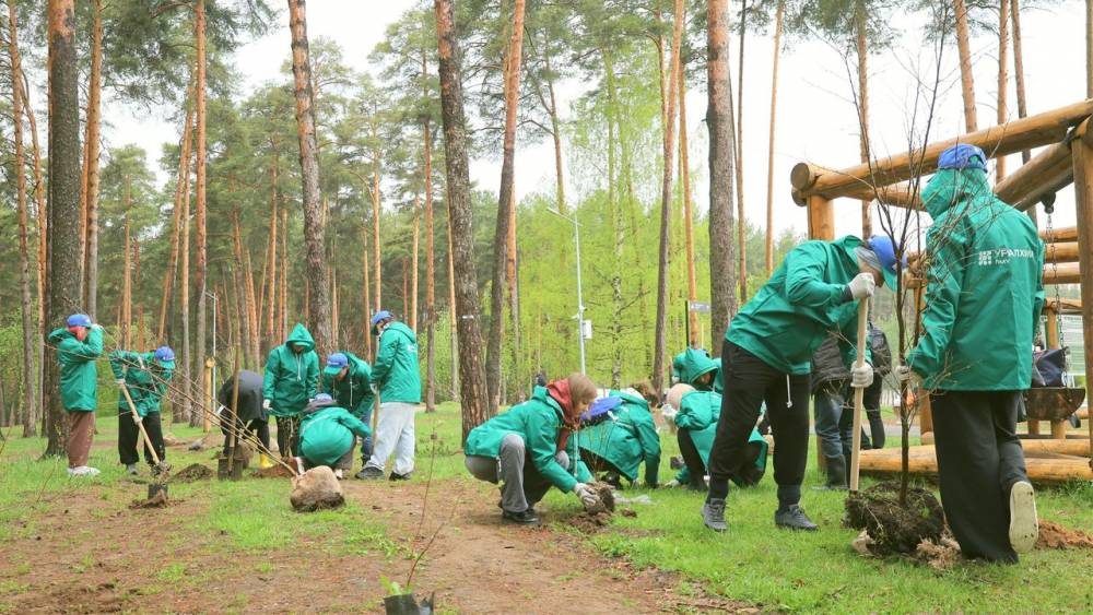 «Уралхим» высадил цветущие деревья в Черняевском лесу