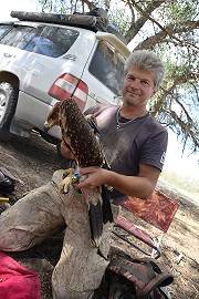 Добрая и неожиданная история про орлов