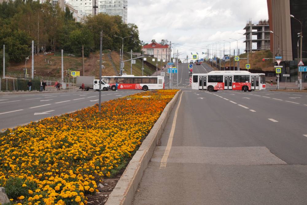 Депутаты обсудили развитие общественного транспорта в Перми