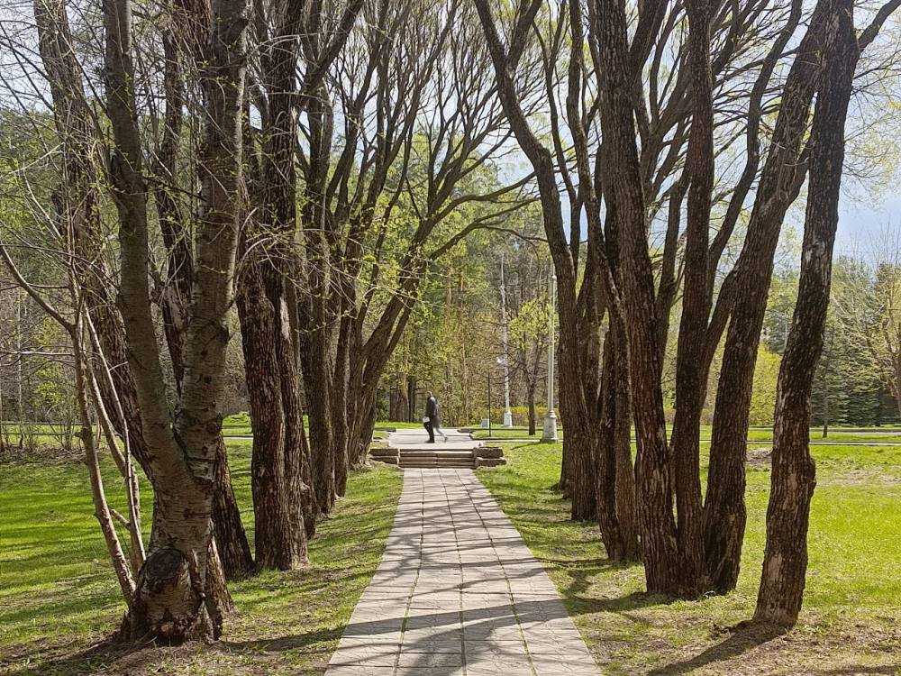 «ЭнергосбыТ Плюс» напоминает клиентам о возможности сделать вклад в сохранение природы