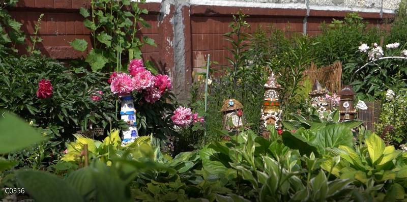 Депутаты-азотчики поддерживают участников конкурса цветников  