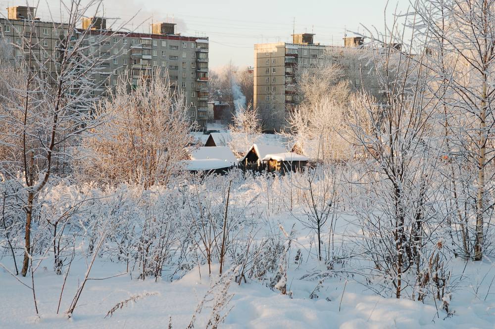 Морозы вернулись: в праздники в Перми похолодает до -25 