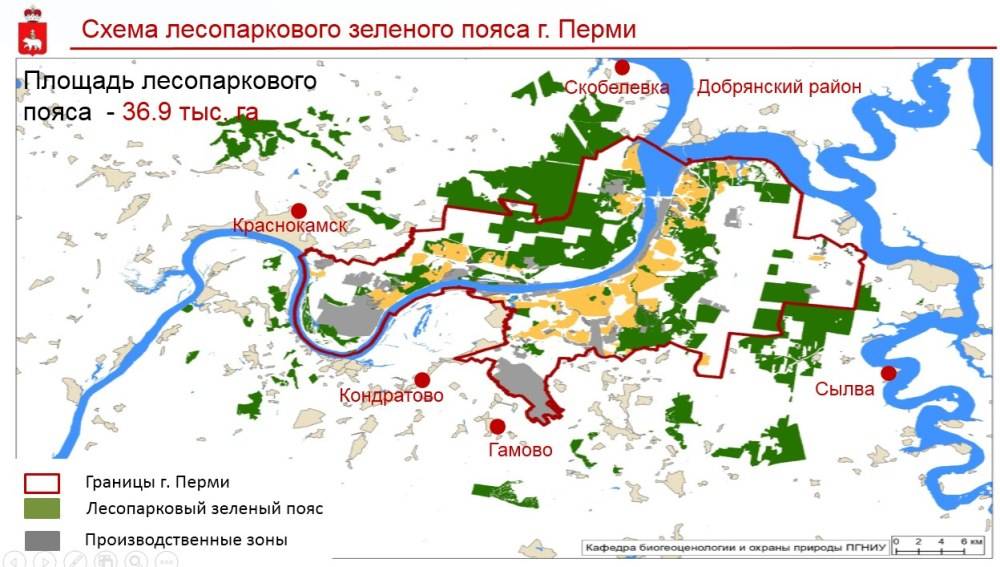 «Сохранить и поддержать»: в Перми установят границы лесопаркового «зеленого пояса»