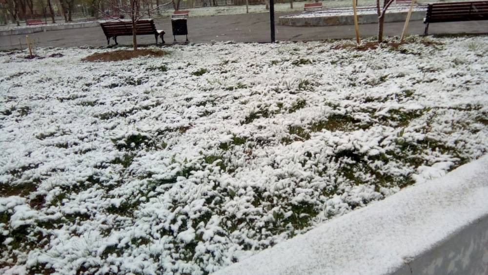 «​Наконец-то лето пришло...», – жители Прикамья поделились фотографиями снега