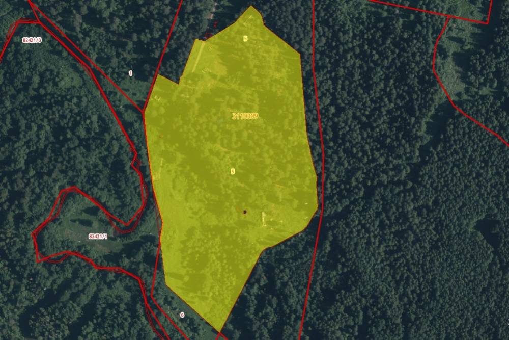 ​Мэрия Перми в девятый раз направила на торги по приватизации бывший детский лагерь «Салют»