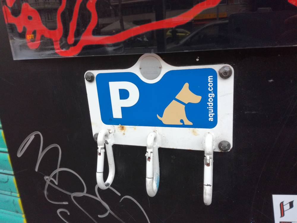 Росимущество передало в собственность Соликамску приют для животных