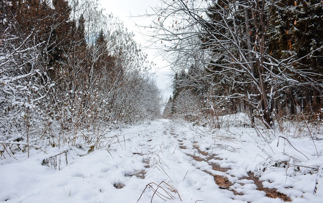 Синоптики: в Перми температура опустилась ниже -30 в седьмой раз за зиму