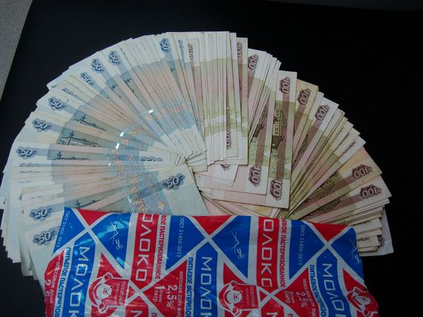 Пермячка завещала все свои накопления приюту для кошек