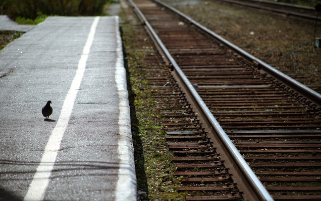 В Пермском крае молодой человек лишился ступни на железнодорожных путях