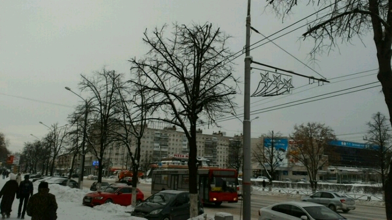 В Перми на улице Ленина проводится кронирование лип