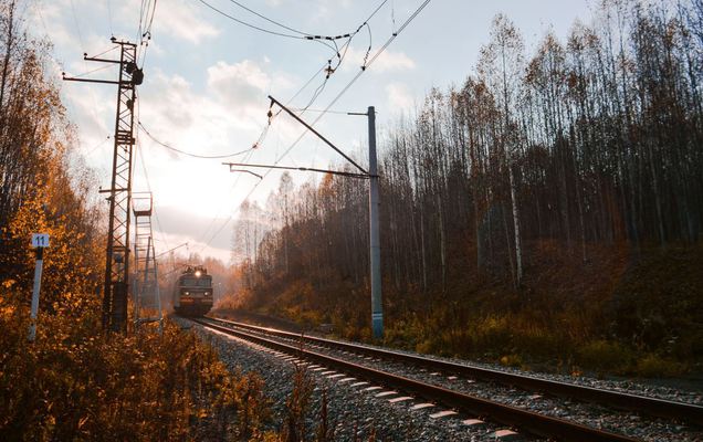 В Пермском крае поезд насмерть сбил 34-летнюю женщину