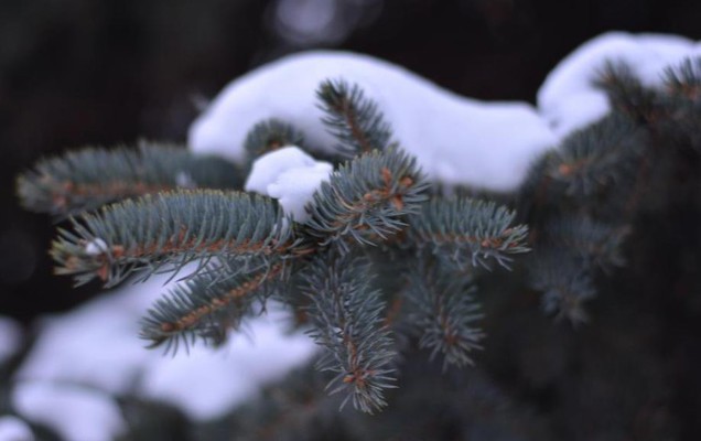 ​В Прикамье МЧС объявило экстренное предупреждение из-за сильных морозов
