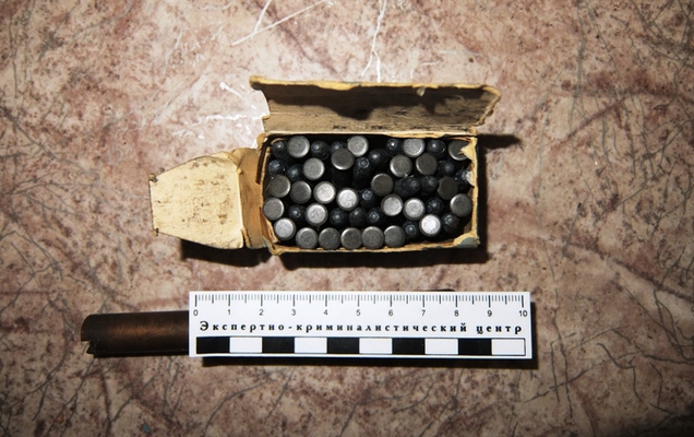 В Прикамье осужден гражданин за хранение взрывчатых веществ и патронов