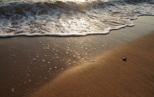 Владимир Путин подписал указ о снятии запрета на продажу турпутевок в Турцию