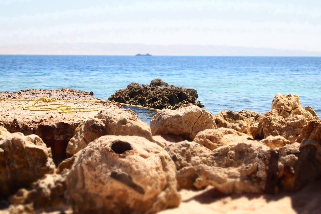 ​Вместо Египта. Эксперты составили ТОП-5 направлений зарубежного туризма с прямыми перелетами из Перми