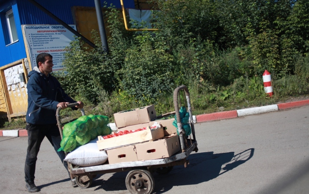 Пермская полиция задержала более 500 человек в ходе рейда в Заостровке