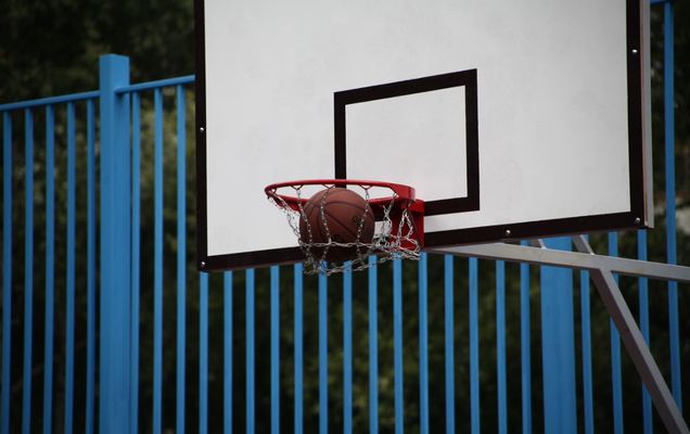 Комиссия FIBA проинспектирует спортивные объекты Перми