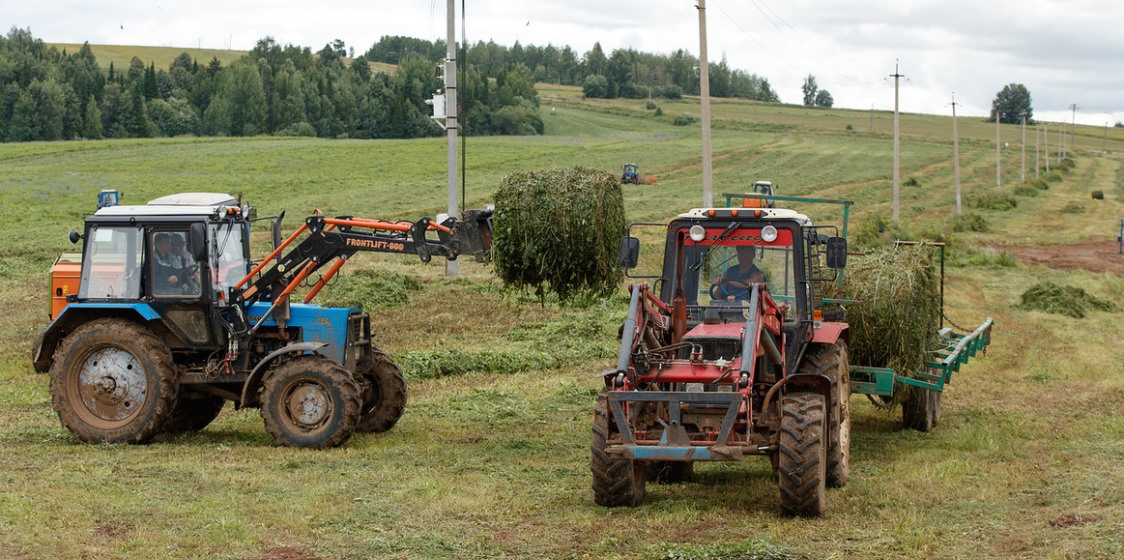 В Прикамье 40 сельхозкомпаниям планируют выдать 120 млн рублей