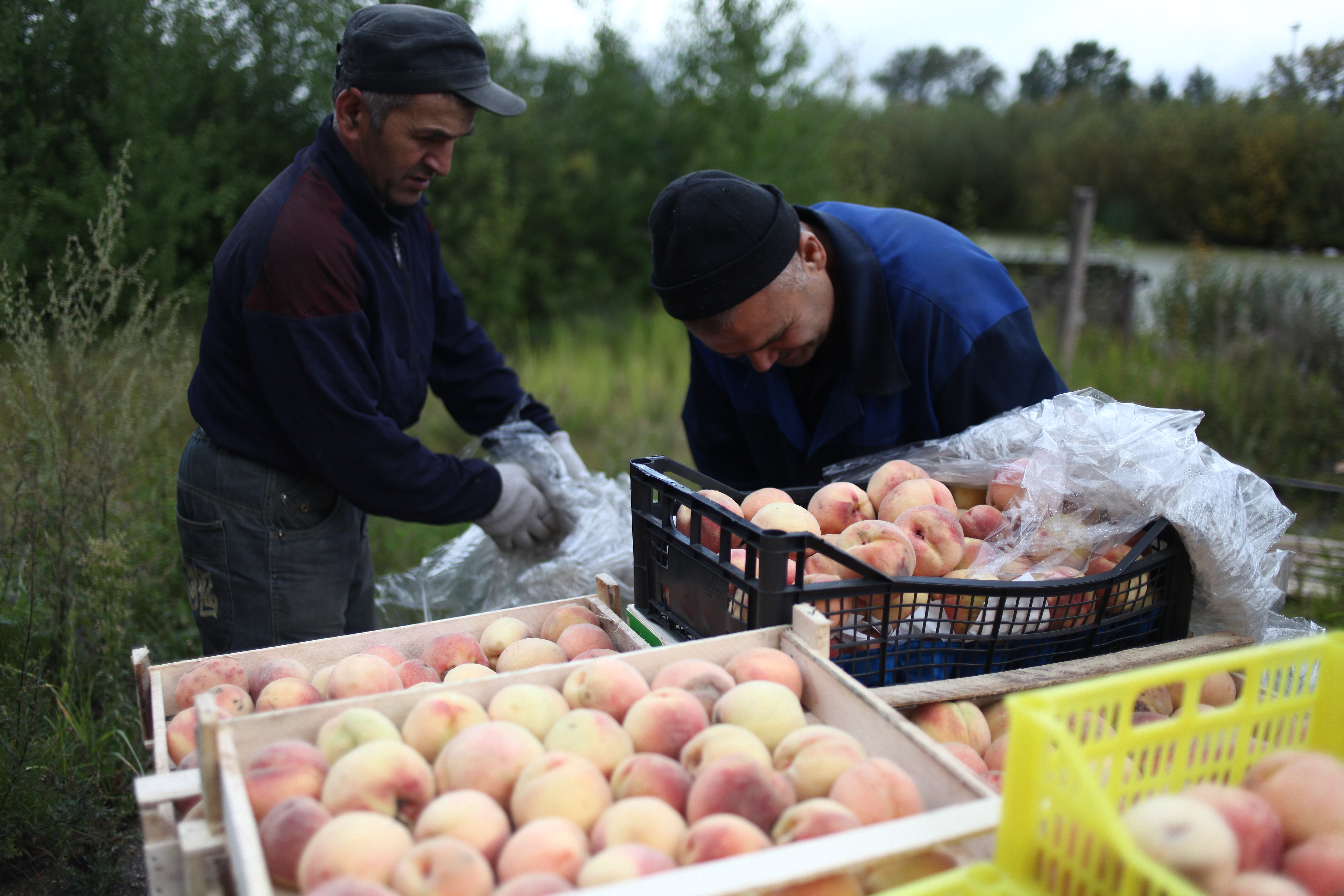 В Перми в отдел полиции доставлено более полутысячи мигрантов