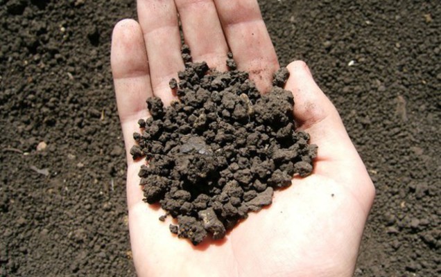 В Прикамье начнут изымать неиспользуемые участки земли