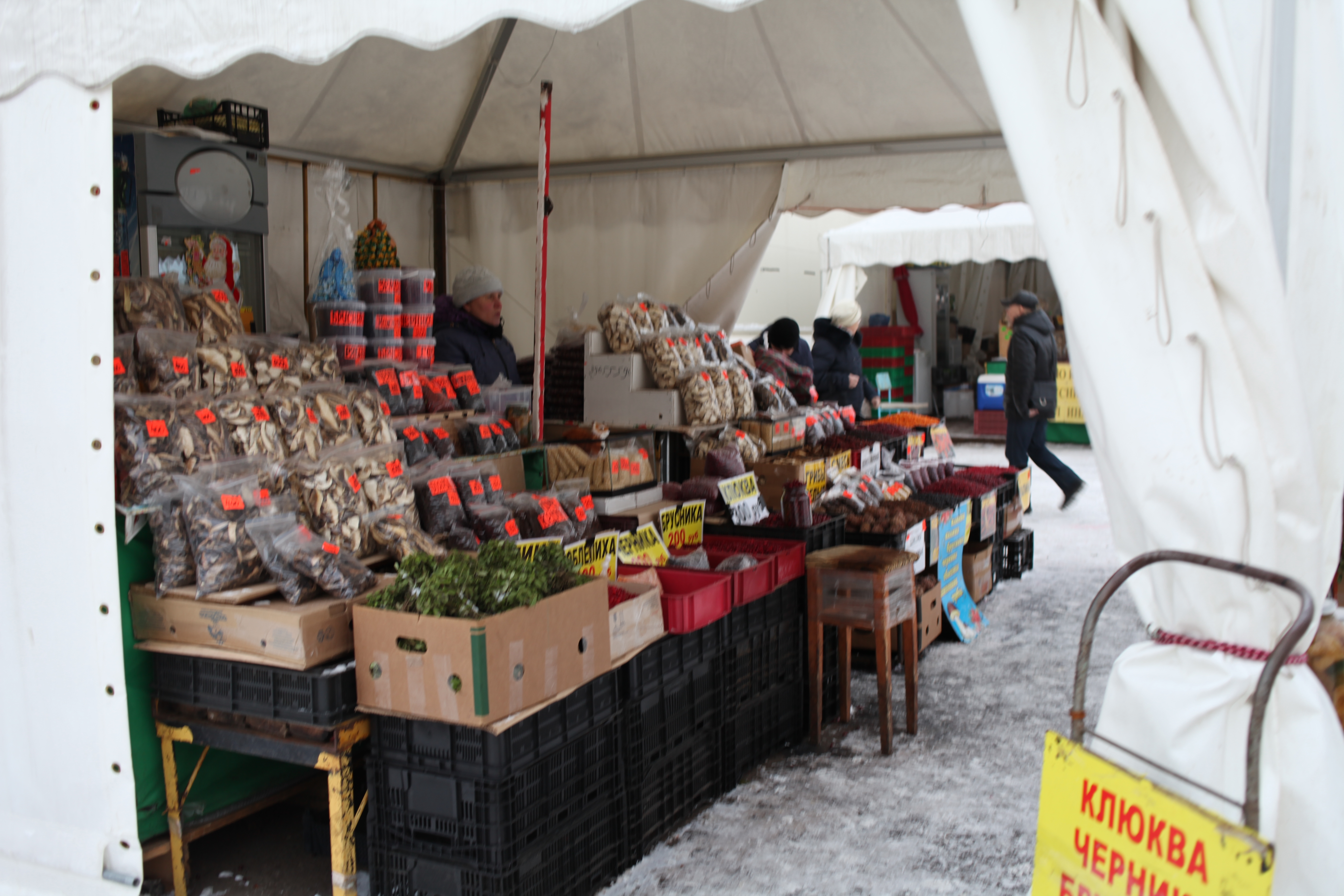 Прикамье вошло в топ-20 регионов по производству картофеля