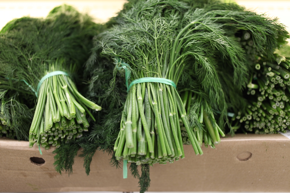 Ни рыбы, ни мяса