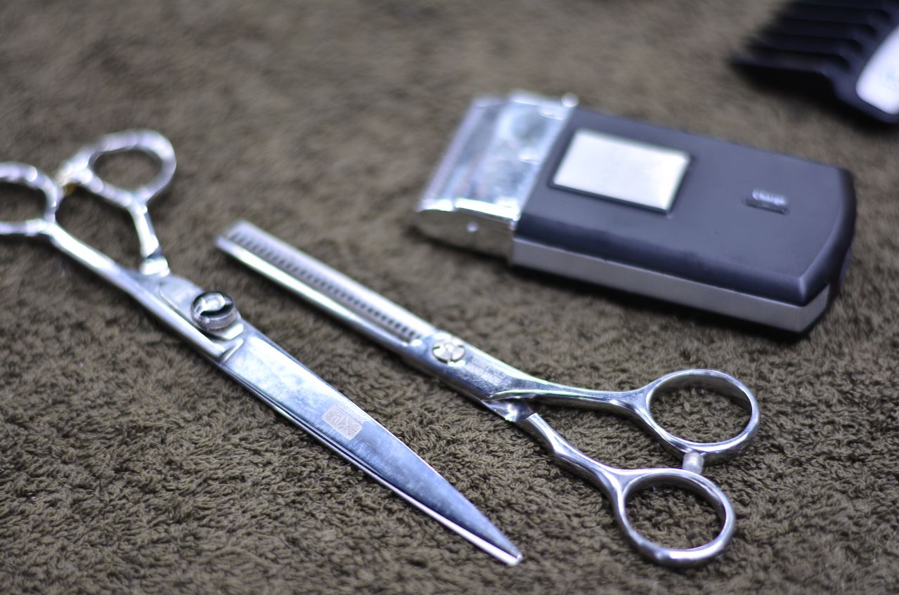 Отрезали, теперь отмерьте. ОНФ предложил приостановить действие ограничений по количеству поездок для льготных проездных в Перми