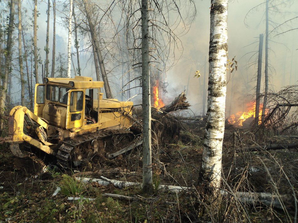 ​В Чайковском районе локализован пожар, охвативший 2,7 га леса