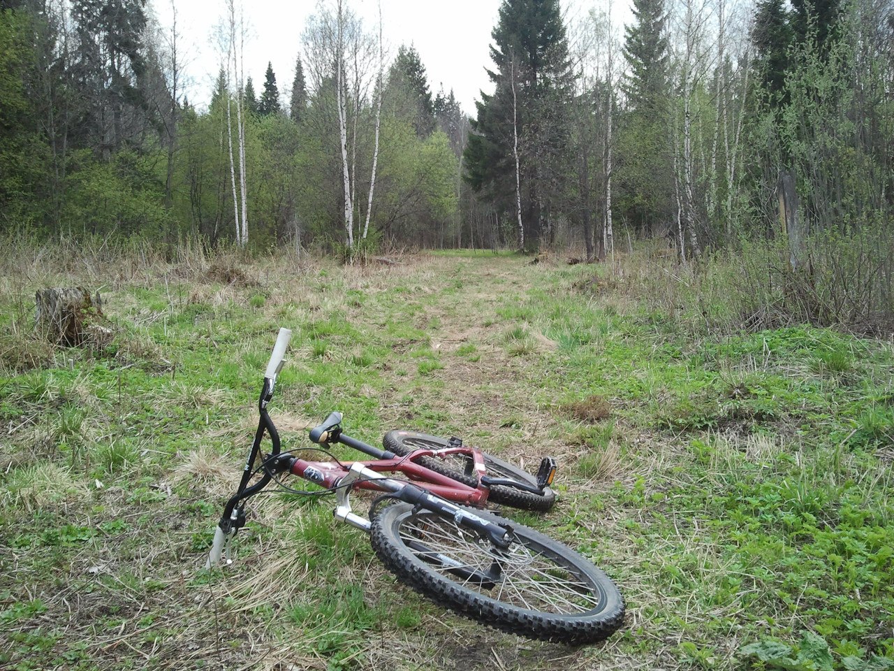 Депутаты «послали» пермских велосипедистов в Кукуштан