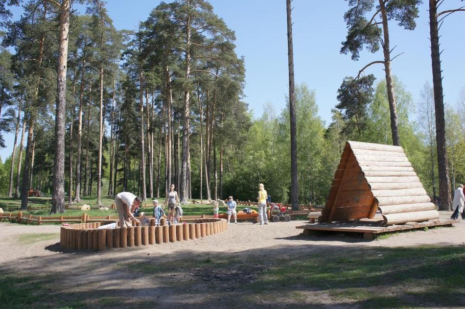 Выжившие. В Прикамье почти в 30 раз выросла активность клещей