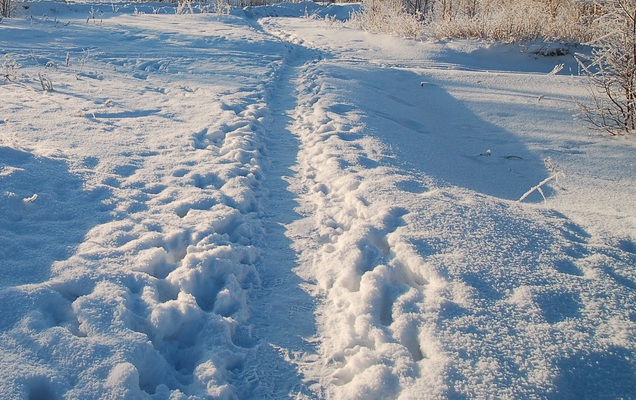 В Прикамье продолжают действовать 13 ледовых переправ
