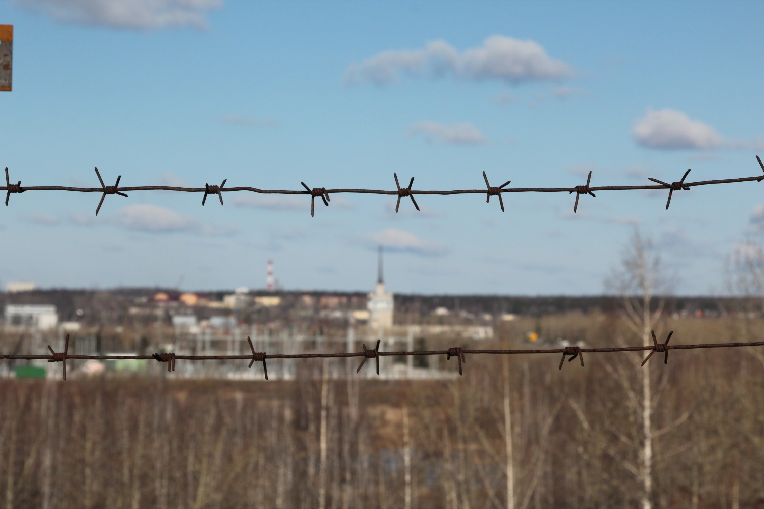 По итогам амнистии из мест лишения свободы в Прикамье вышли 1096 заключенных