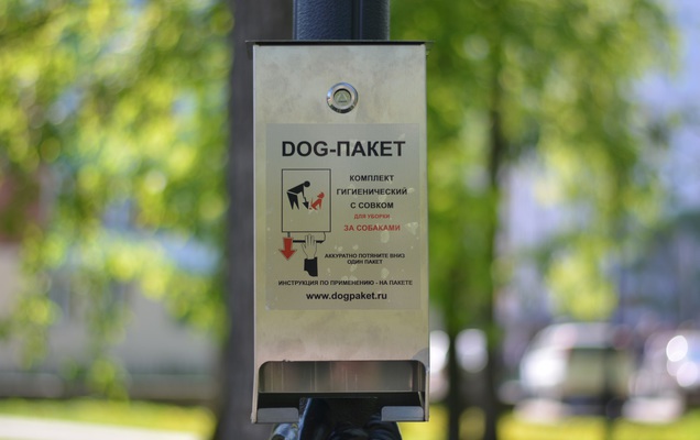 В Перми установят 480 боксов для уборки за собаками