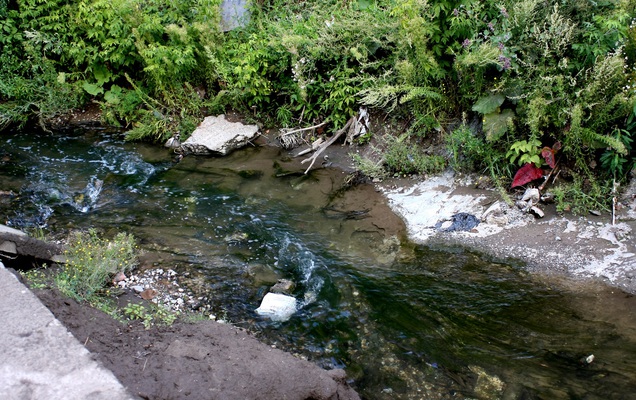 Активисты и члены Молсовета обсудили создание новых рекреационных зон в долинах малых рек Перми