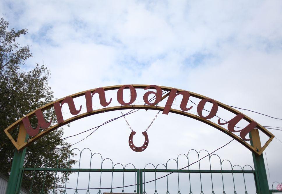 Кони, люди и ТЦ