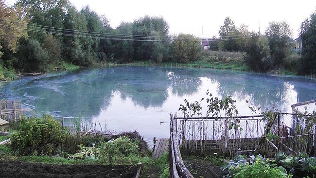 В Прикамье озеро за сутки окрасилось в ядовито-синий цвет