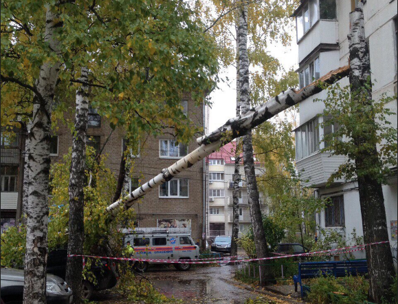 В Пермском крае ураганом снесло деревья, рекламный щит и крышное покрытие