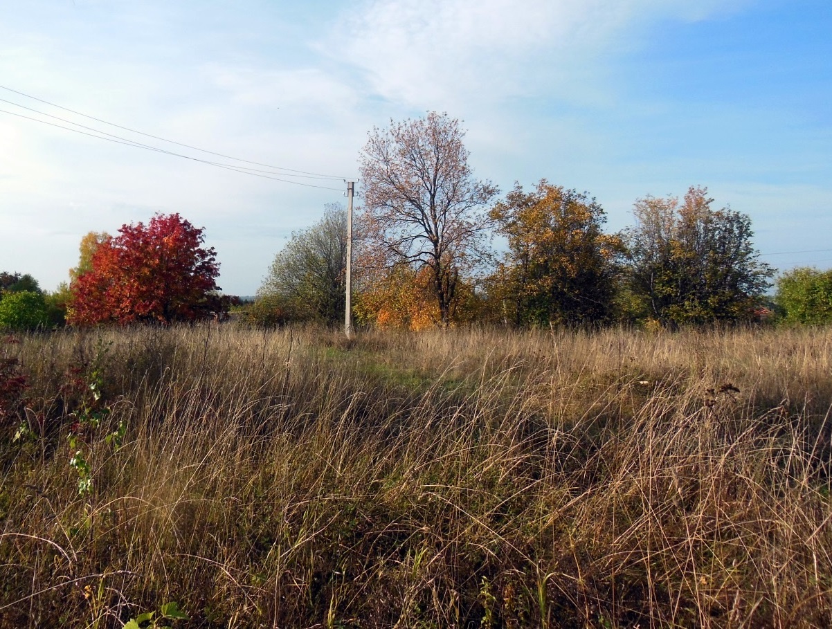 По всем прогнозам октябрь в Прикамье ожидается теплее нормы
